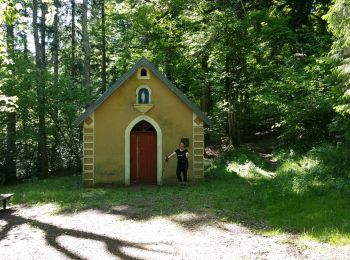 Trail Walking Rougemont-le-Château - St Catherine  - Photo