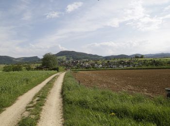 Percorso A piedi Tecknau - Tecknau - Ormalingen - Photo