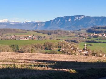 Randonnée Marche Villages du Lac de Paladru - Valencogne  - Photo