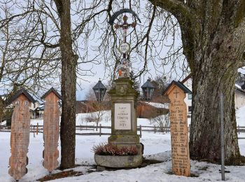 Randonnée A pied Deggendorf - Deggendorf Rundwanderweg Nr. 4 - Photo