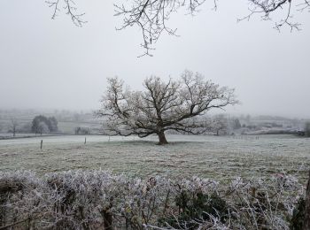 Randonnée Marche Genouilly - Genouilly  - Photo