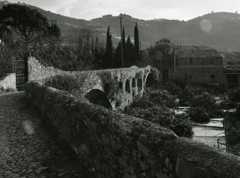 Randonnée A pied Taggia - Via della Costa - Photo