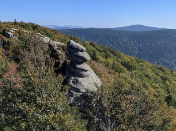 Tour Zu Fuß Haindorf - CZ-6964 - Photo