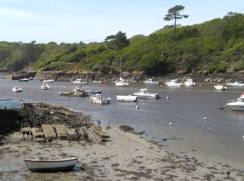 Trail Walking Moëlan-sur-Mer - MOËLAN SUR MER - Photo