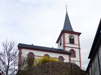 Percorso A piedi Reichelsheim (Odenwald) - Rundwanderweg Reichelsheim 3 - Photo