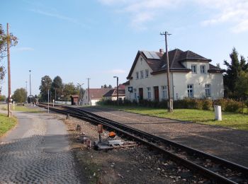 Tocht Te voet Olbersdorf - LG-Grüner Strich - Photo