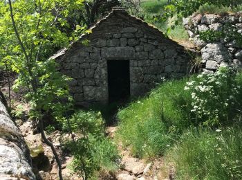 Tour Wandern Pont de Montvert - Sud Mont Lozère - La Croix de Berthelot pont du Tarn - Photo