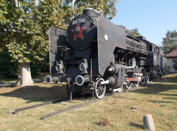 Excursión A pie Dombóvár - P■ - Photo