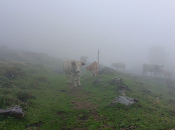 Trail Walking Aulus-les-Bains - Aulus _ Refuge Bassie - Photo