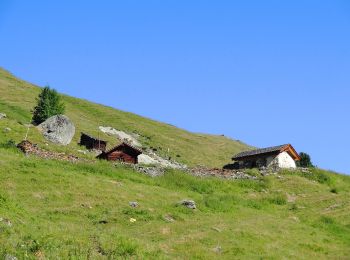 Randonnée A pied Anniviers - Hôtel Weisshorn-Zinal - Photo