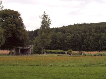 Excursión A pie Fürstenzell - Kohlbruck - Platte - Seestetten - Photo