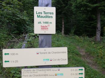 Tour Wandern Morzine - boucle lac des mines d'or, chardonnerai, freterol - Photo