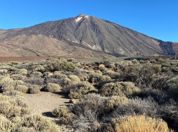 Randonnée A pied La Orotava - Parador de Teide Alto Guajara caldeira de Teide  - Photo