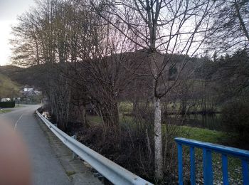 Trail Walking Kirchberg - Sommerseite 2023 - Photo