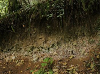 Randonnée A pied Montferrand-le-Château - Sentier de Crête et Bois Rapin - Photo