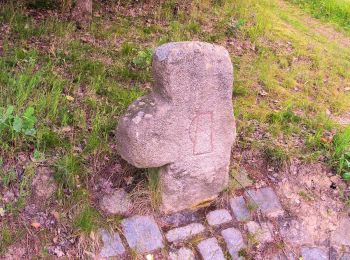 Tocht Te voet Windischeschenbach - Windischeschenbach Rundwanderweg Nr. 10 - Photo