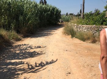 Trail Walking - Kalami Parikia - Photo