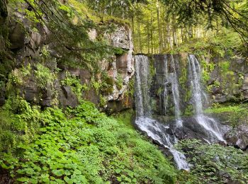 Excursión Senderismo Le Falgoux - Cascade du Biagun - Photo