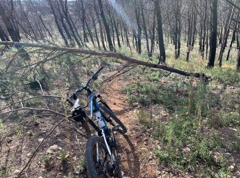 Trail Mountain bike Narbonne - La poisse  - Photo