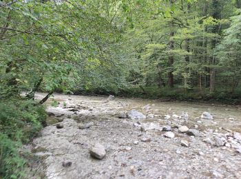 Tocht Te voet Ig - Pot ob reki Iški - Okljuk - Photo