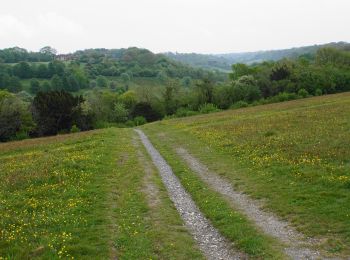 Tour Zu Fuß  - Downlands Circular Walk - Photo