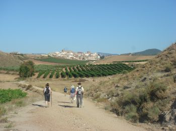 Tour Wandern Puente la Reina/Gares - Camino Francés - Etp5 - Puente la Reina - Estella - Photo