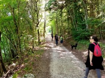 Percorso Marcia Claix - Le plateau de Peuil - Photo