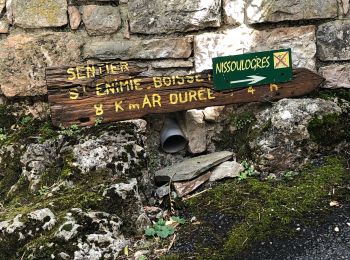 Tocht Stappen Gorges du Tarn Causses - Ste Enimie, le Boisset - Photo