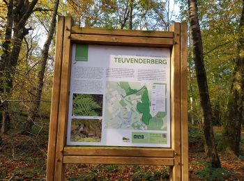 Tocht Stappen Voeren - Teuven - Photo