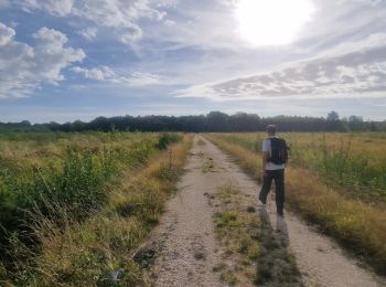 Excursión Senderismo Pamfou - Boucle en forêt de Villefermoy - Photo