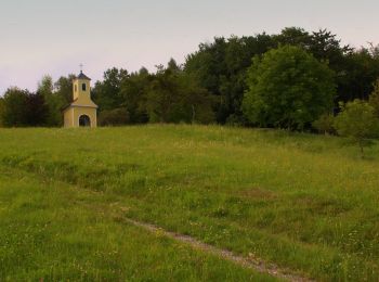 Trail On foot Albersdorf-Prebuch - Wanderweg 1 - Photo