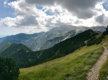 Randonnée A pied Pennapiedimonte - Pennapiedimonte - Monte Cavallo - Photo