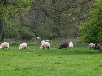 Trail On foot Unknown - Weser-Lutter-Weg - Photo