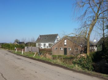 Trail On foot De Ronde Venen - Botsholroute - Photo