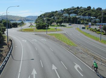 Tour Zu Fuß  - Pauatahanui Harbour circuit - b) Pauatahanui to Paremata Bridge - Photo