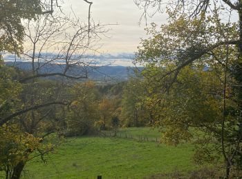 Trail Walking Rosières - Le ravin du coeurboeuf - Photo