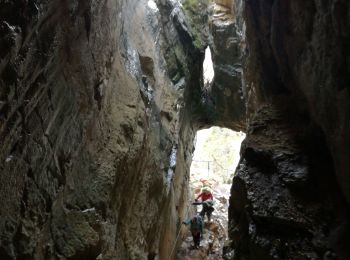 Excursión Senderismo Beaumont - Le SALEVE - Photo