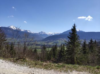 Tocht Stappen Arith - lac de mariet - Photo