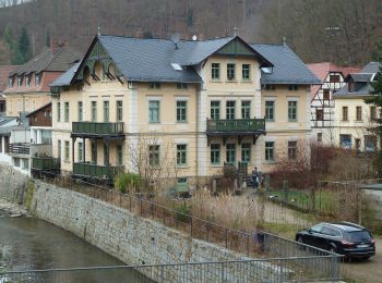 Randonnée A pied Rechenberg-Bienenmühle - Ww Rechenberg-Bienenmühle - Kalkstraße Anschluss EB - Photo