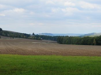 Excursión A pie Gohrisch - Grüner Punkt, Sächsische Schweiz (linkselbisch) - Photo