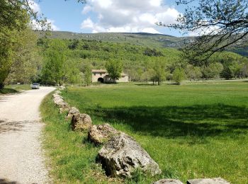 Tocht Stappen Bargemon - Les bois de Favas et de Coste Rousse 2 - Photo