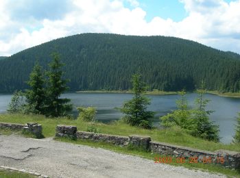 Randonnée A pied  - Complexul Turistic Fântânele - Defileul Someșului Cald - Complexul Turistic Fântânele - Photo