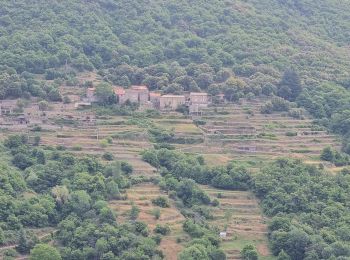 Trail Walking Val-d'Aigoual - Bonperrier - col de l'Homme Mort - Photo