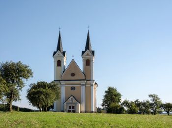 Randonnée A pied Sattledt - Sauguat-Runde - Photo