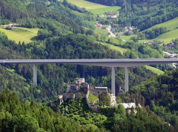 Randonnée A pied Gemeinde Payerbach - Weg PA 10 - Photo