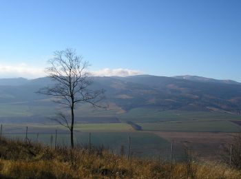 Trail On foot District of Poprad - Kvetnica - Zámčisko - Kvetnica - Photo