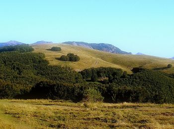 Percorso A piedi Ferriere - Mulino di Castagnola - Castagnola - Cantone - Photo