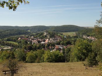 Percorso A piedi Pappenheim - Ortswanderweg Pappenheim 7 - Photo