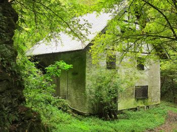 Randonnée A pied Büchel - Bücheler Wanderweg 6 - Photo