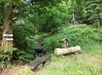 Trail On foot Warmensteinach - Warmensteinach Gelber Ringweg - Photo